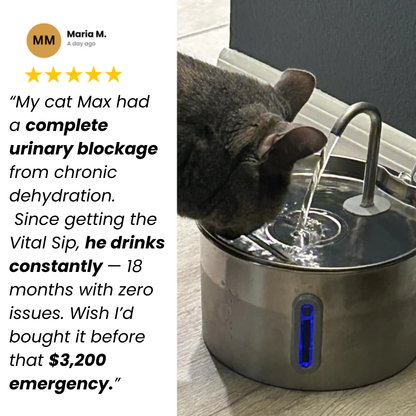VitalSip Cat Water Fountain