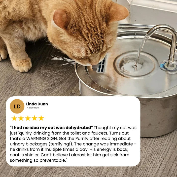 VitalSip Cat Water Fountain
