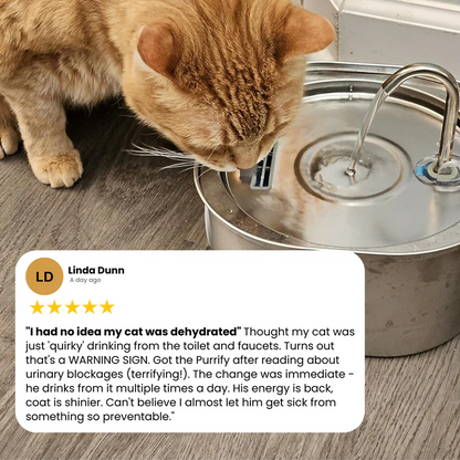 VitalSip Cat Water Fountain