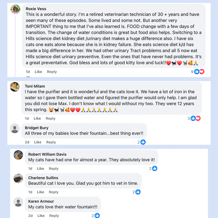 VitalSip Cat Water Fountain