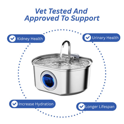 VitalSip Stainless Steel Water Fountain