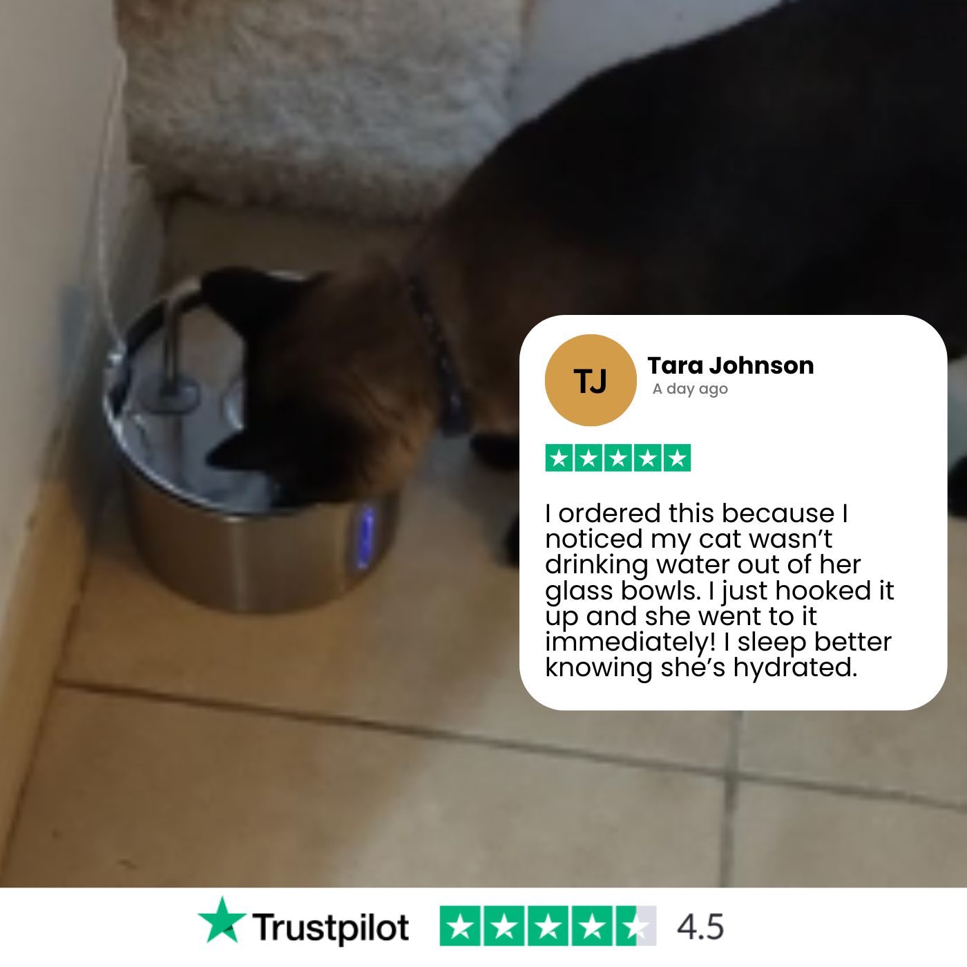 VitalSip Cat Water Fountain
