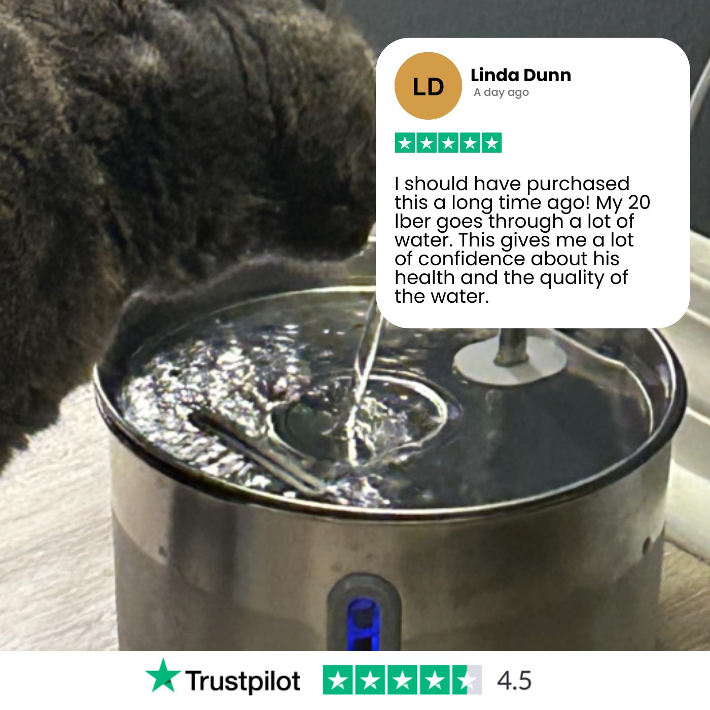 VitalSip Cat Water Fountain